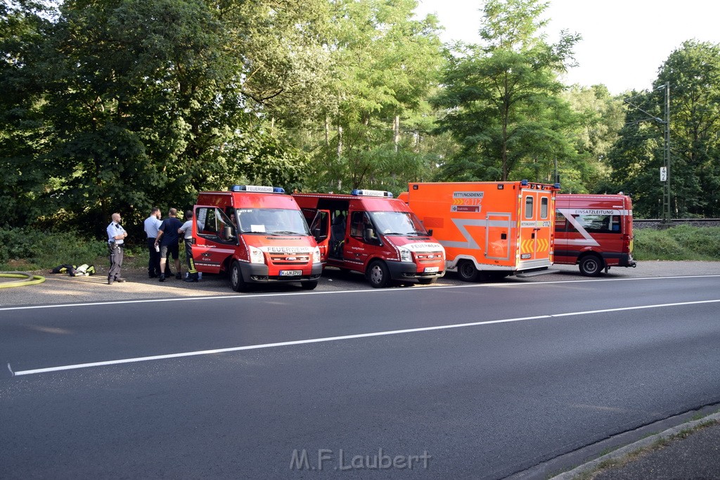 Waldbrand Koeln Hoehenhaus Hoehenfelder Mauspfad P207.JPG - Miklos Laubert